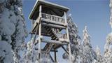 The covered observation tower is also used in the winter. Photo: Tapio Hartikainen