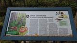There are many information boards along the trail. Photo: AT