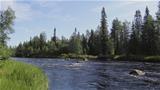 River Meltausjoki as seen from the shore of the Lapp hut. Photo: AT