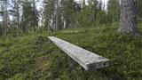 There is a rest bench at the highest point of the nature trail, from there on the trail starts to descend along the hillside. Photo: AT
