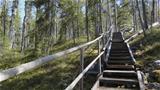 Auttikönkään luontopolun jyrkimpiin kohtiin on tehty portaat helpottamaan kulkemista. Kuva: AT