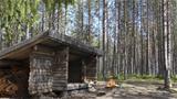 The Pitkä-Perttaus lean-to is situated in beautiful riverside pine forest. Photo: AT