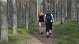 The easy-access trail to the Keisarin lähde spring passes through beautiful pine forest. Photo: AT