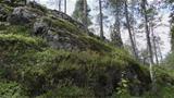 Könkäänvaaran pohjoispuolella on kalliojyrkänne. Kuva: AT