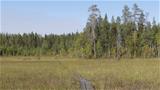 In the beginning of the trail, the Kurjenaapa Bog is crossed near the Makialampi Pond. Photo: AT
