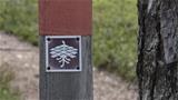 The nature trail is marked in terrain with posts. Photo: AT