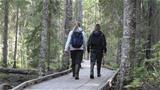 Könkäänsaari Island is a great destination for a nature excursion. Photo: AT