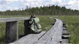 There are a couple of rest benches on the open bog for hikers. Photo: AT